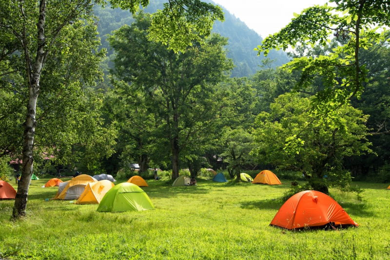 camping-DALUIS-min_camping